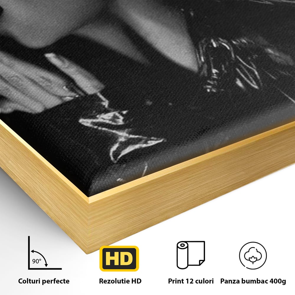 Detaliu al suprafetei: tablou canvas cu femeie in costum de pisica, in rama de aluminiu auriu
